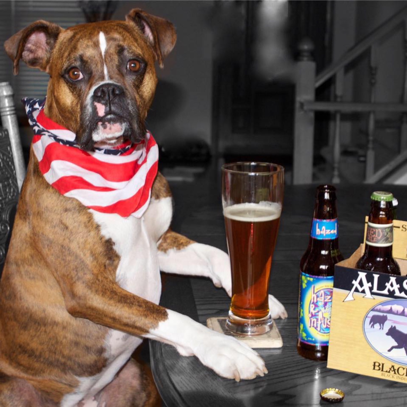 A boxer in a bandana sitting up at the bar with a beer